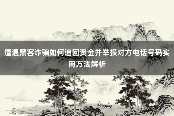 遭遇黑客诈骗如何追回资金并举报对方电话号码实用方法解析