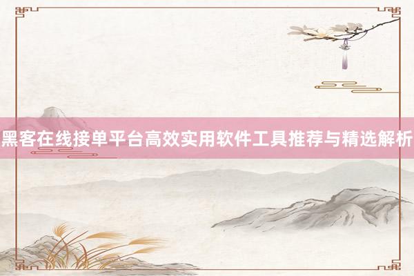 黑客在线接单平台高效实用软件工具推荐与精选解析