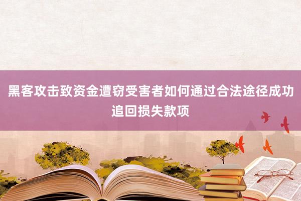黑客攻击致资金遭窃受害者如何通过合法途径成功追回损失款项