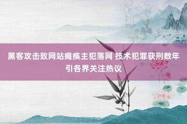 黑客攻击致网站瘫痪主犯落网 技术犯罪获刑数年引各界关注热议